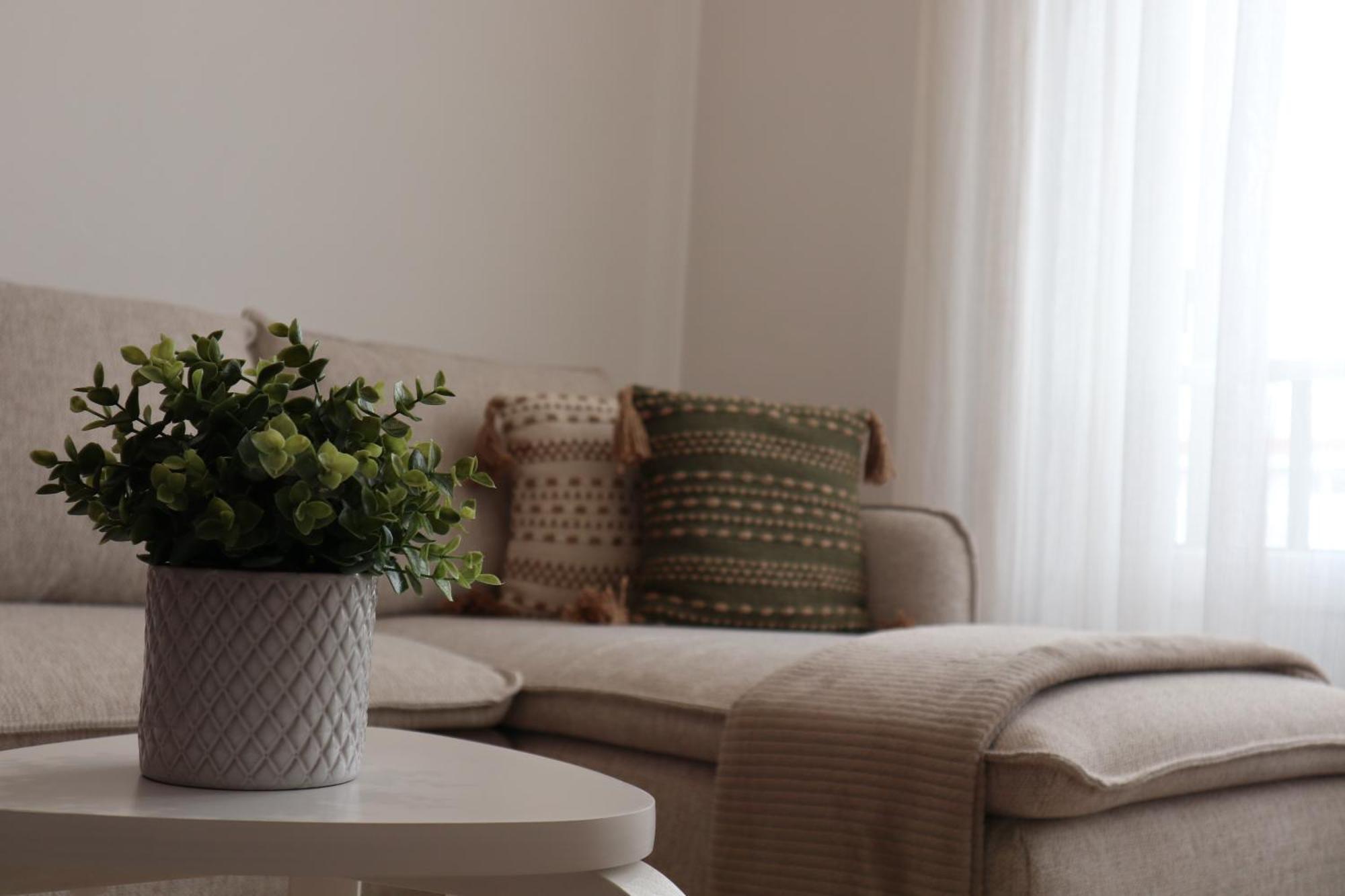 Apartament Wild Blue By Svl Ponta Delgada Zewnętrze zdjęcie